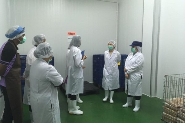 Pic-News-GMP3
